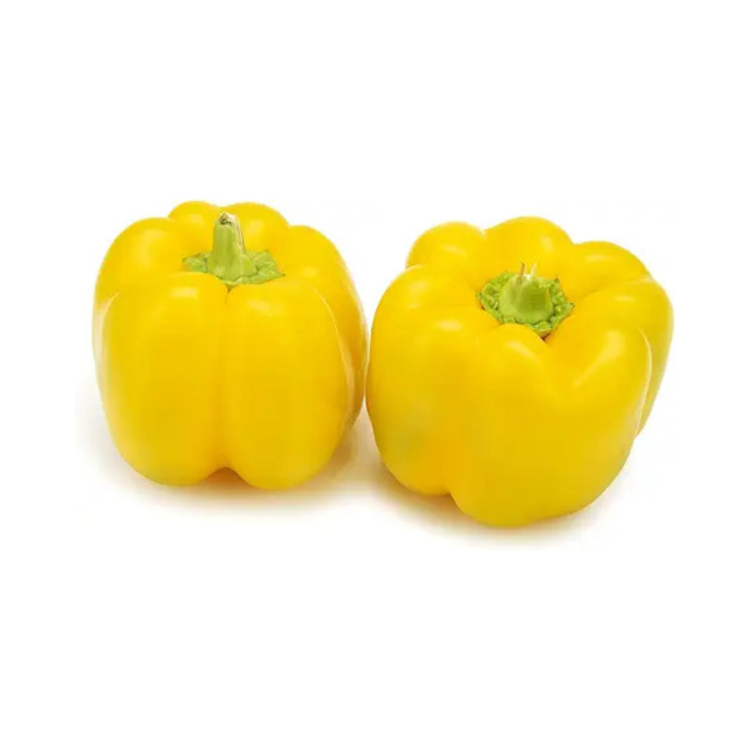 Capsicum-Yellow