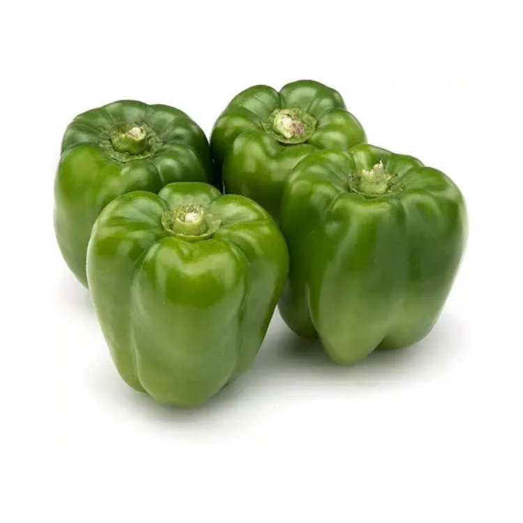 Capsicum