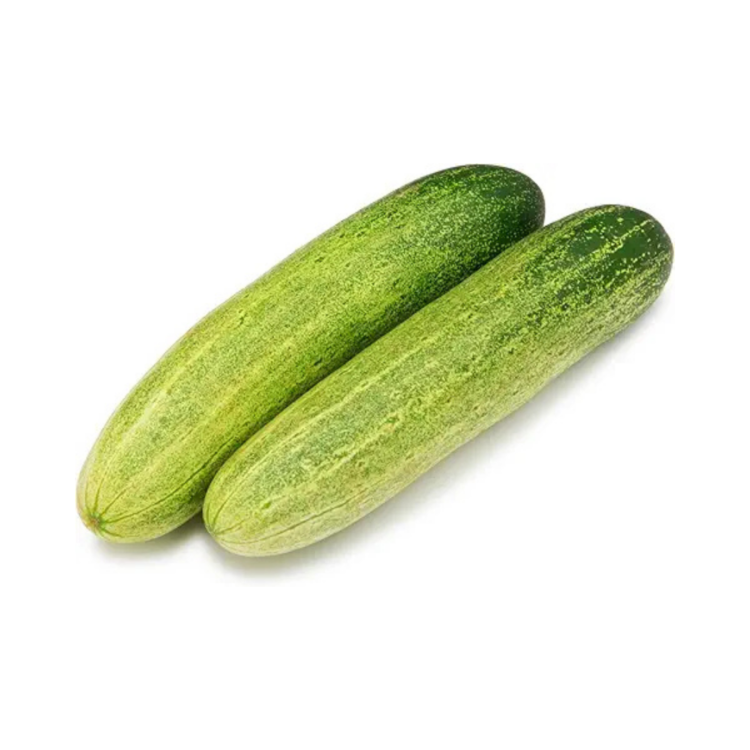 Cucumber