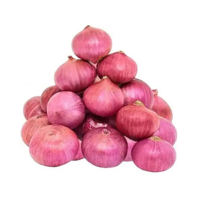 Onion