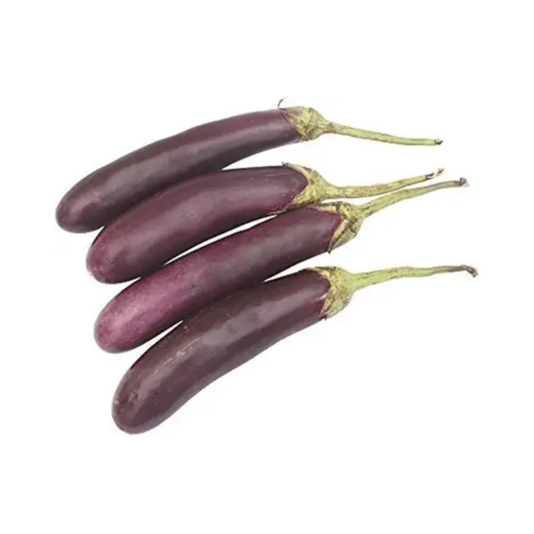 Long Purple Brinjal