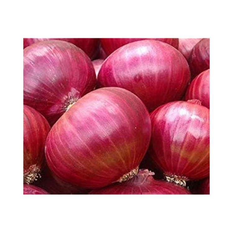 Onion - Image 2