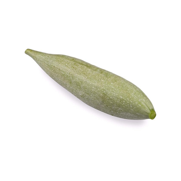 Snake Gourd