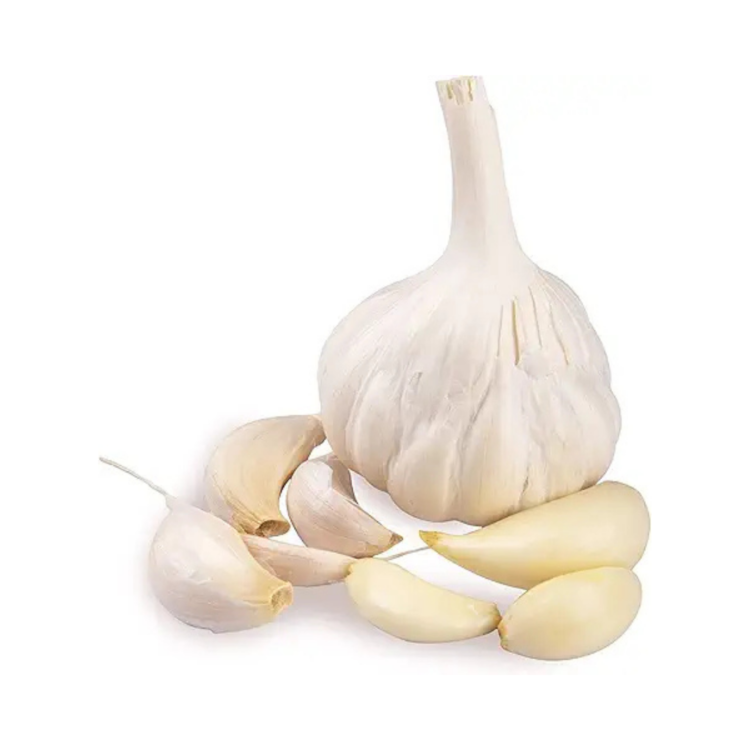 Garlic - Image 2