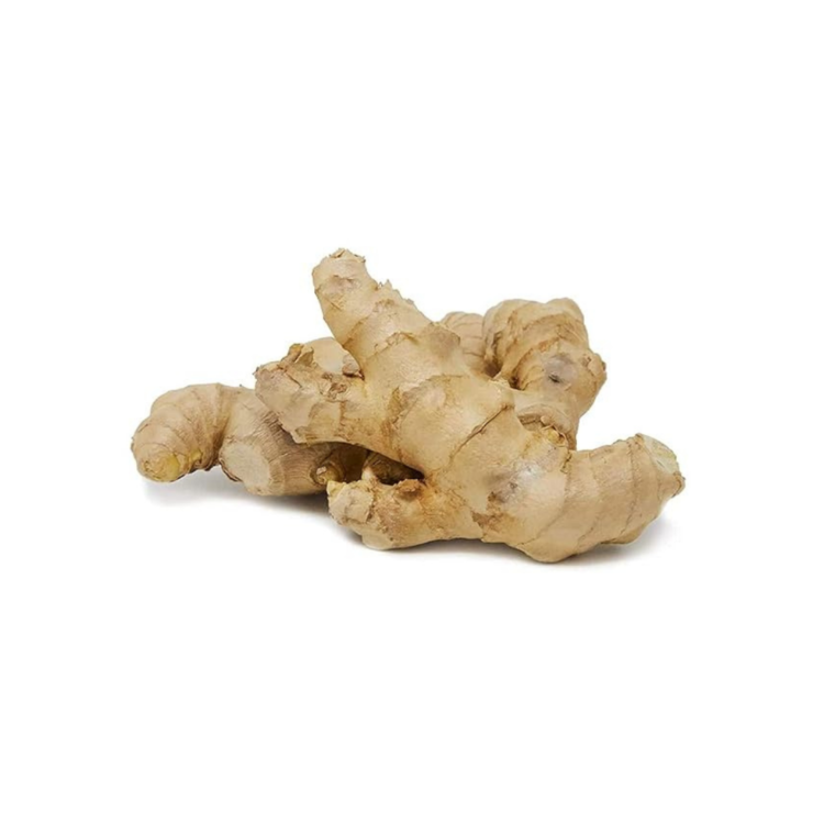 Ginger - Image 2