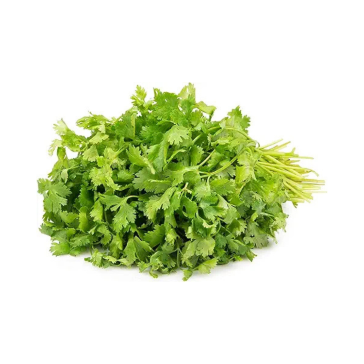 Coriander