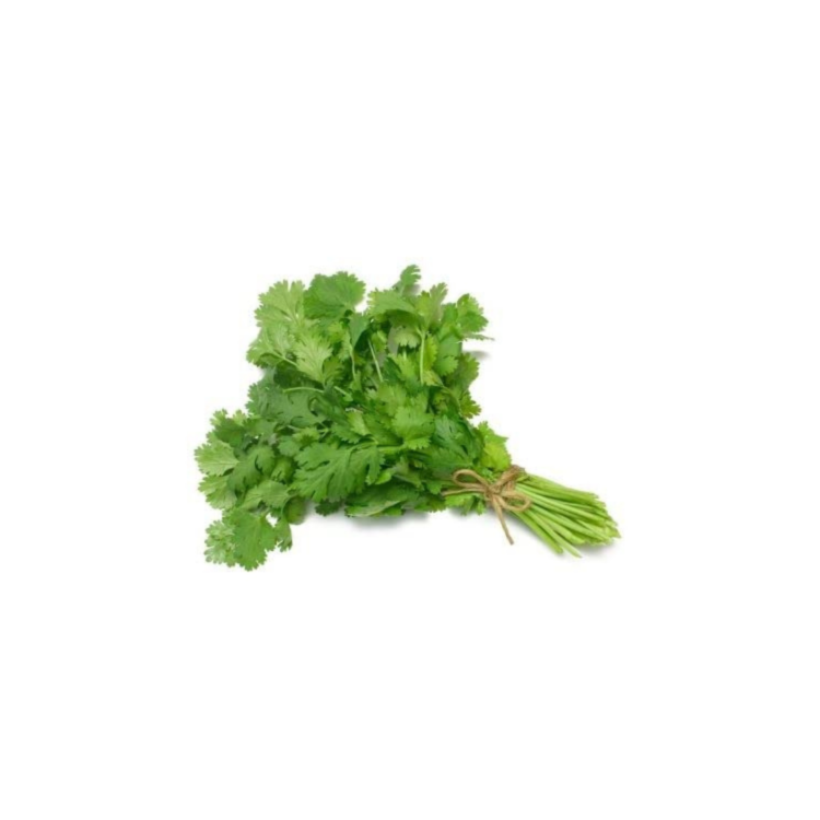 Coriander - Image 2