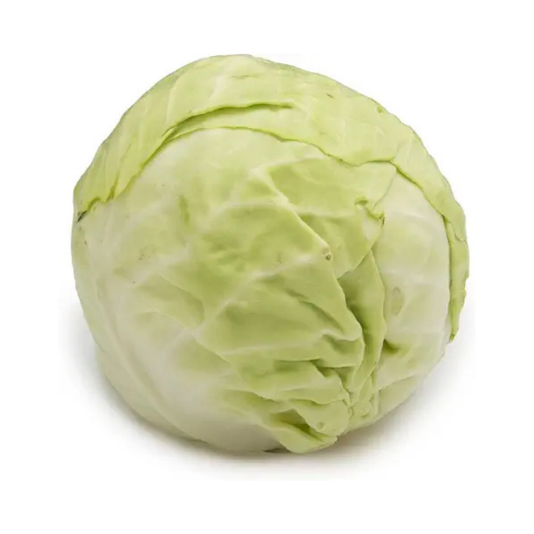 Cabbage